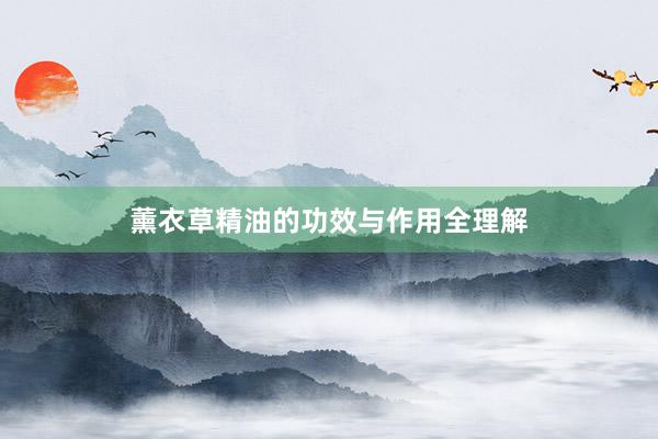 薰衣草精油的功效与作用全理解